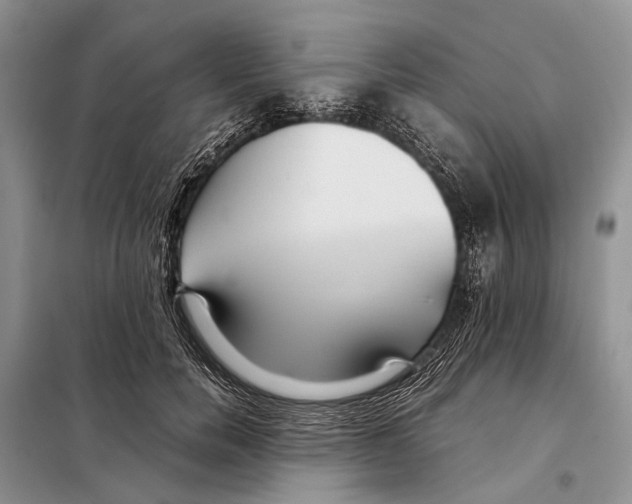 X0000097900750200804111044