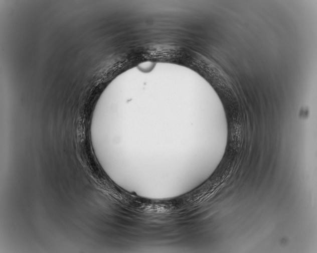 X0000097900751200804111044