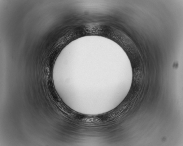 X0000097900752200804111044