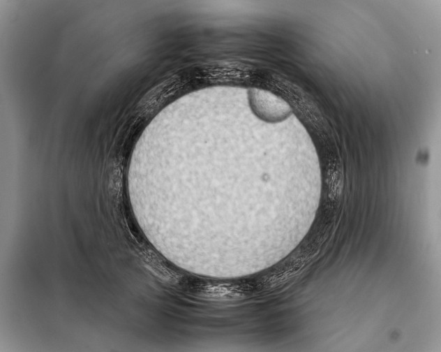 X0000097900753200804111044