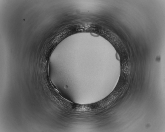 X0000097900754200804111044