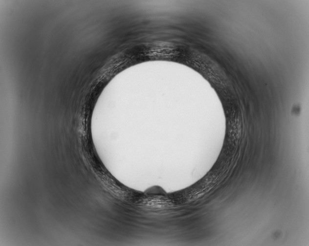 X0000097900755200804111044