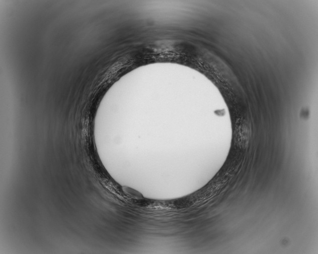 X0000097900756200804111044