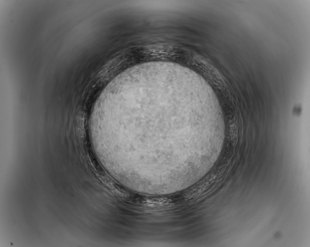 X0000097900757200804111044