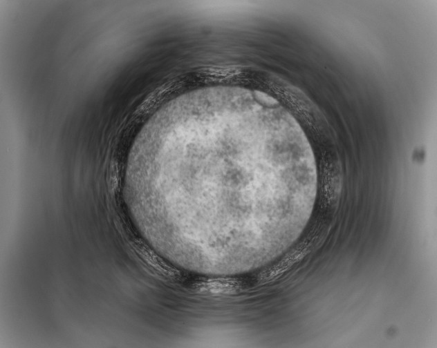 X0000097900758200804111044