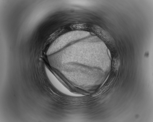 X0000097900760200804111044