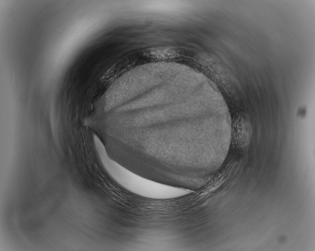 X0000097900762200804111044