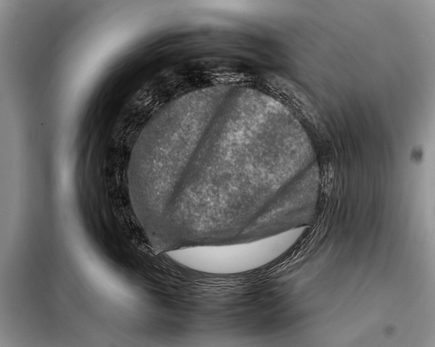 X0000097900763200804111044