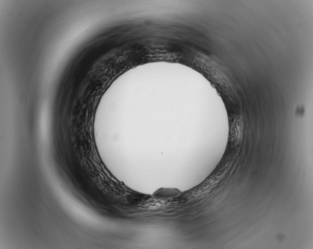 X0000097900764200804111044