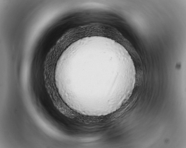 X0000097900765200804111044