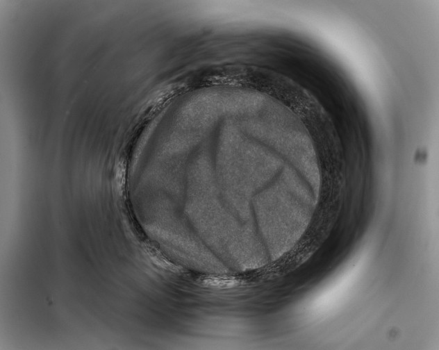 X0000097900767200804111044