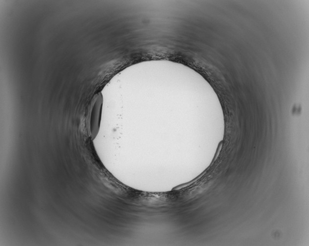 X0000097900768200804111044