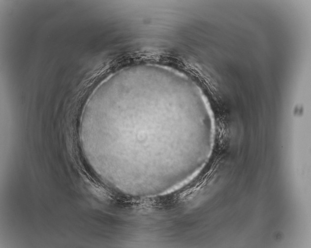 X0000097900769200804111043