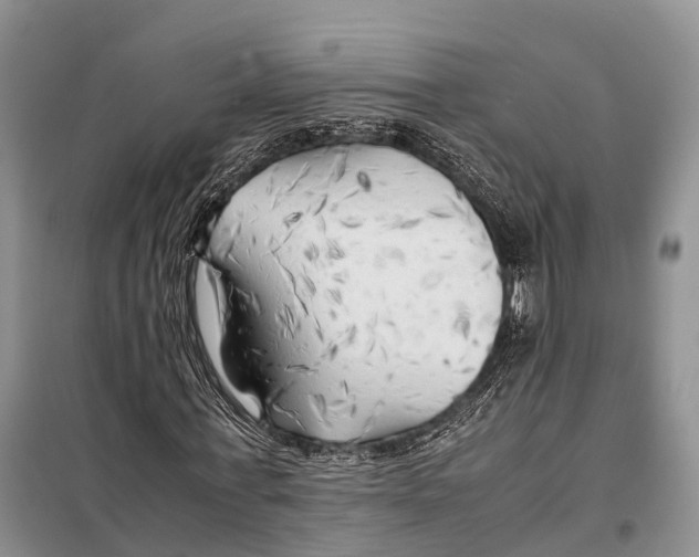 X0000097900771200804111043