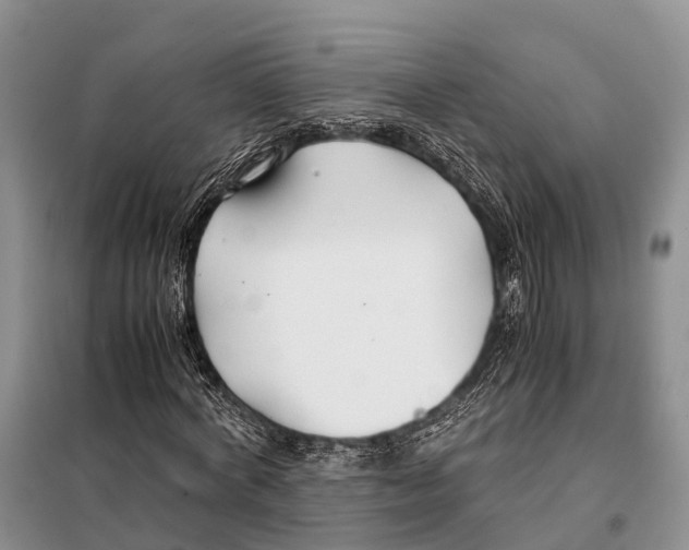 X0000097900772200804111043