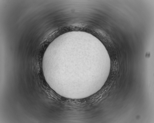 X0000097900774200804111043