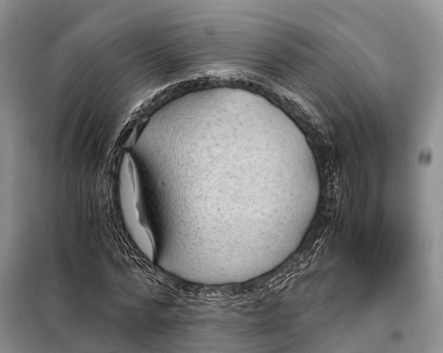 X0000097900776200804111043