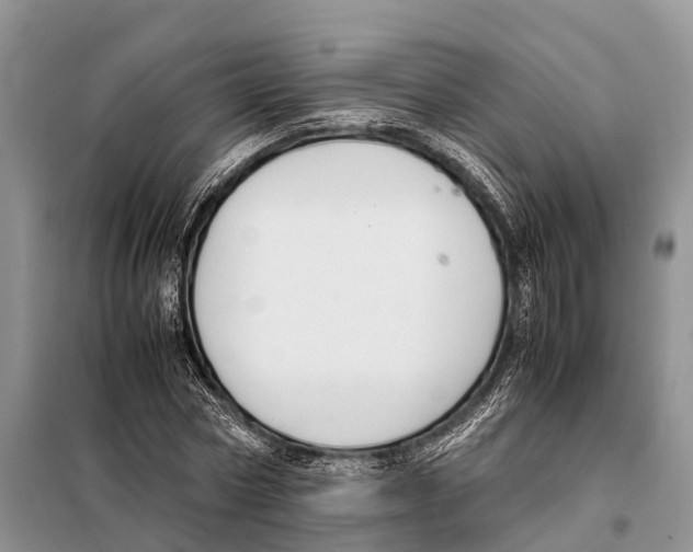 X0000097900778200804111043