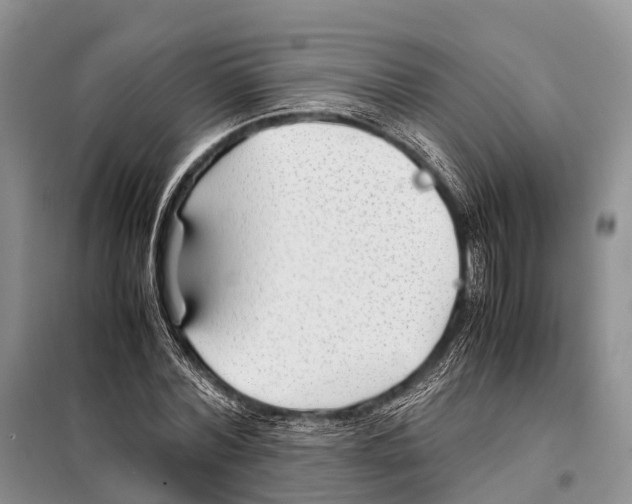 X0000097900780200804111043