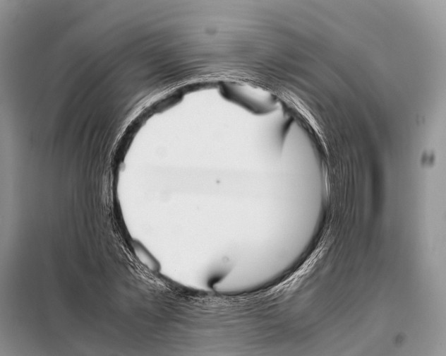 X0000097900781200804111043