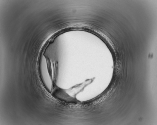 X0000097900783200804111043