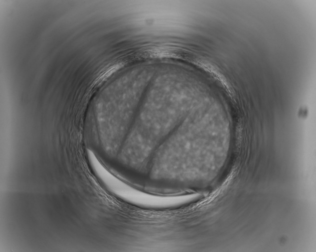 X0000097900785200804111043