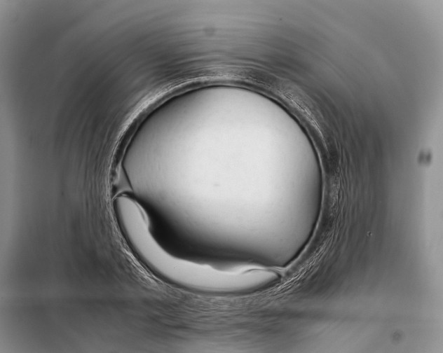 X0000097900789200804111043