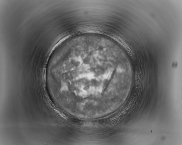 X0000097900790200804111043