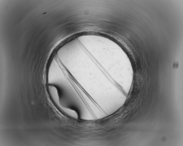 X0000097900791200804111043