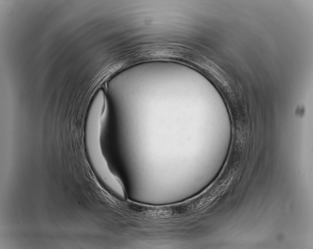 X0000097900793200804111043