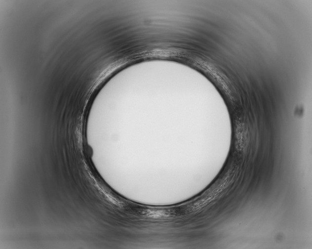 X0000097900794200804111043