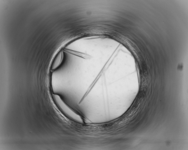 X0000097900795200804111043
