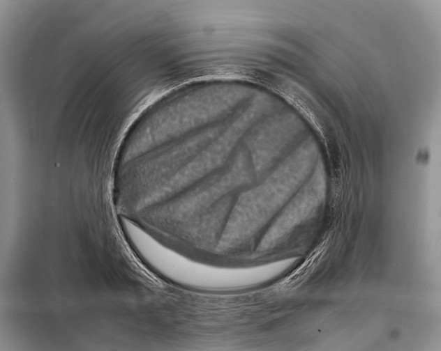 X0000097900797200804111043