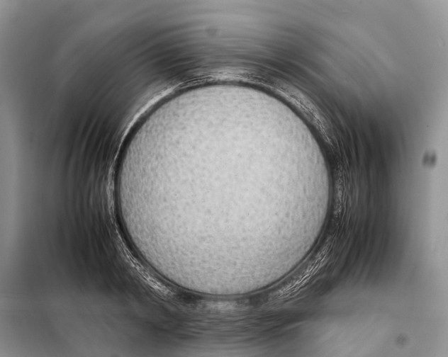 X0000097900798200804111043