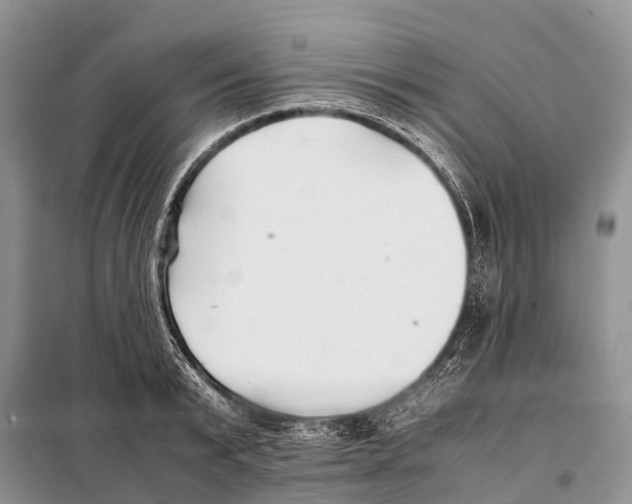 X0000097900799200804111043