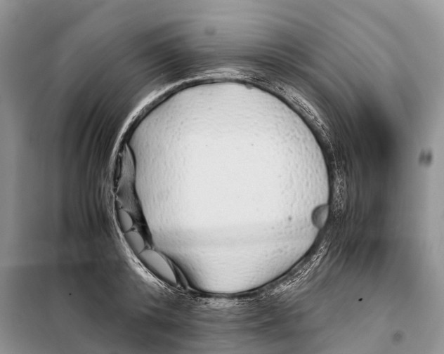 X0000097900800200804111043