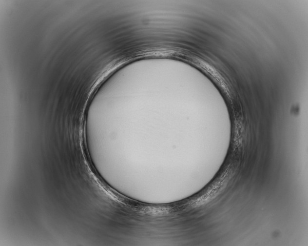 X0000097900802200804111043