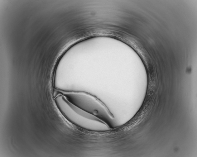 X0000097900803200804111043