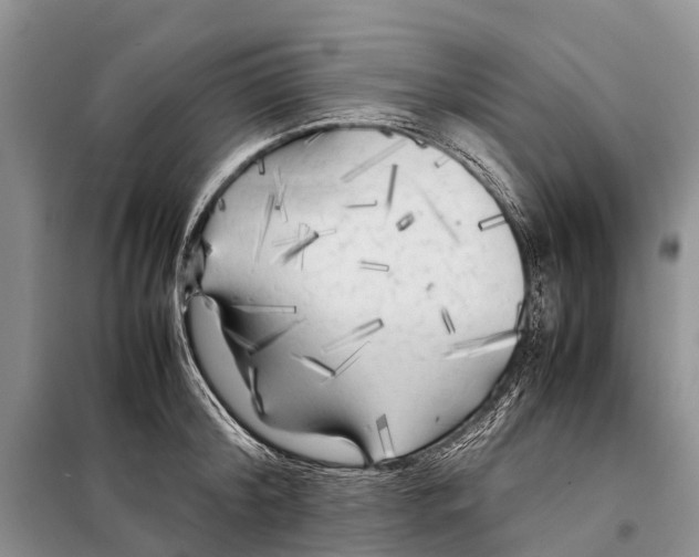 X0000097900804200804111043
