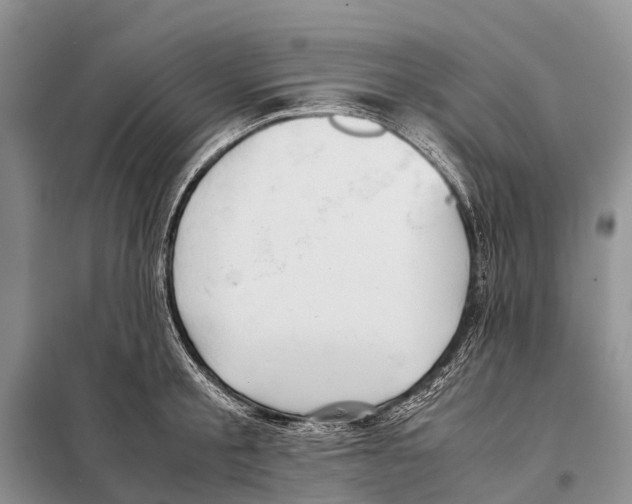 X0000097900805200804111043