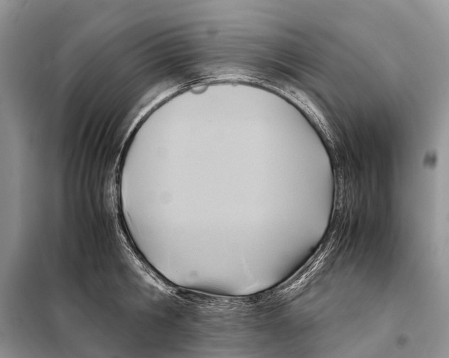 X0000097900806200804111043