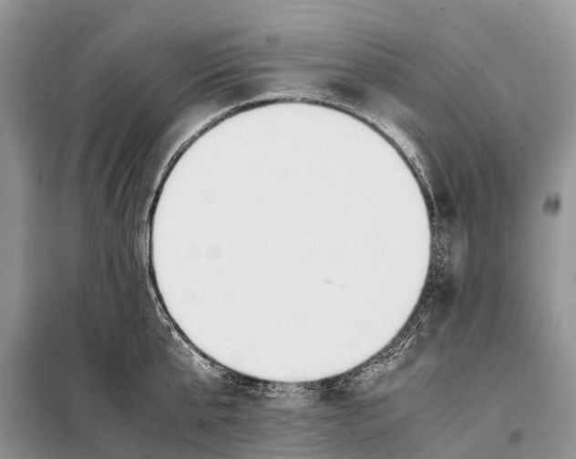 X0000097900807200804111043