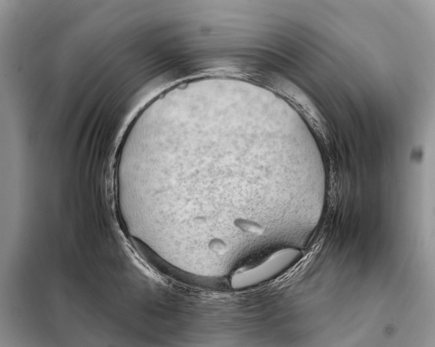 X0000097900808200804111042