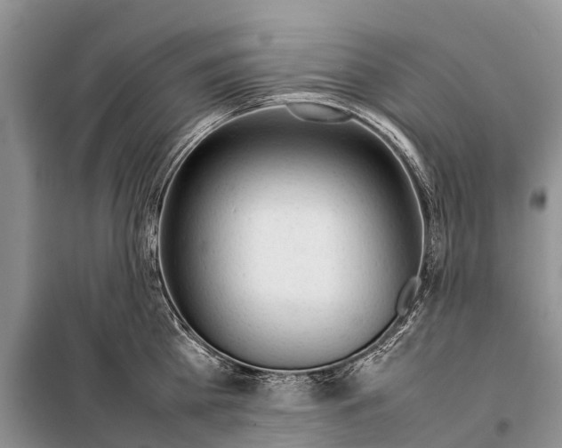 X0000097900809200804111042