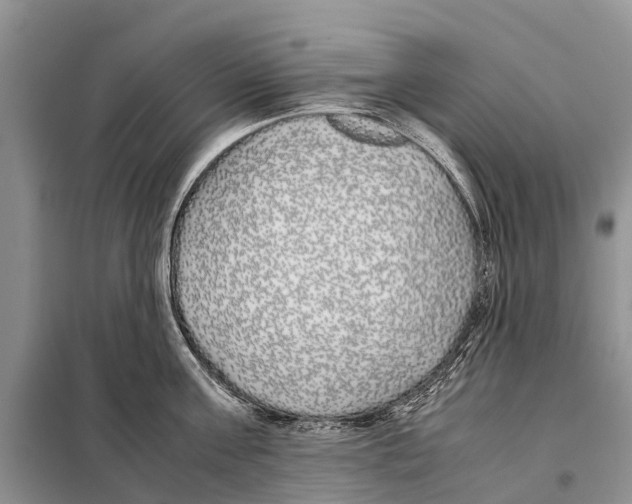 X0000097900811200804111042