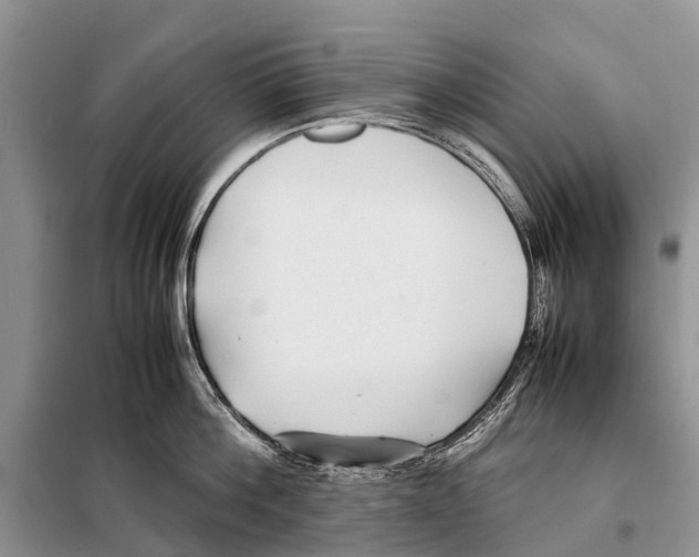 X0000097900812200804111042