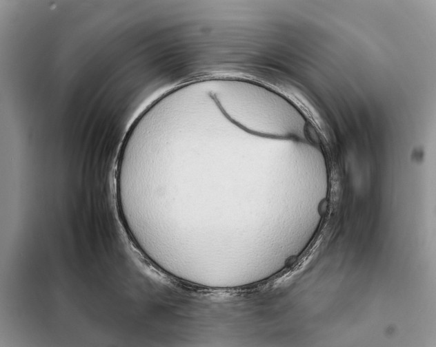 X0000097900814200804111042