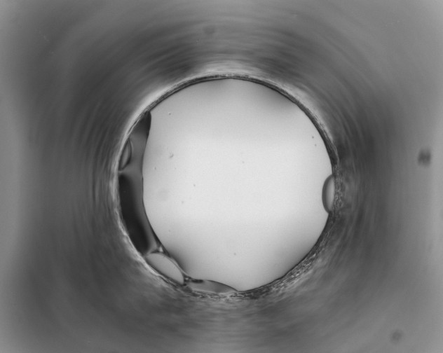 X0000097900815200804111042