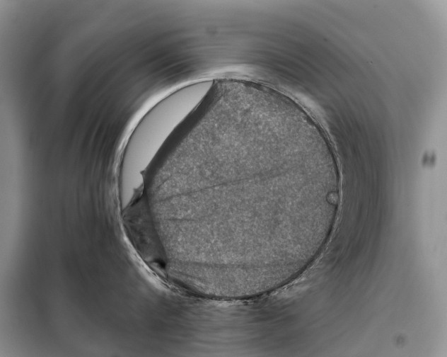 X0000097900816200804111042