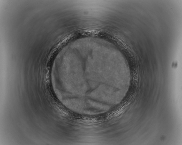 X0000097900818200804111042